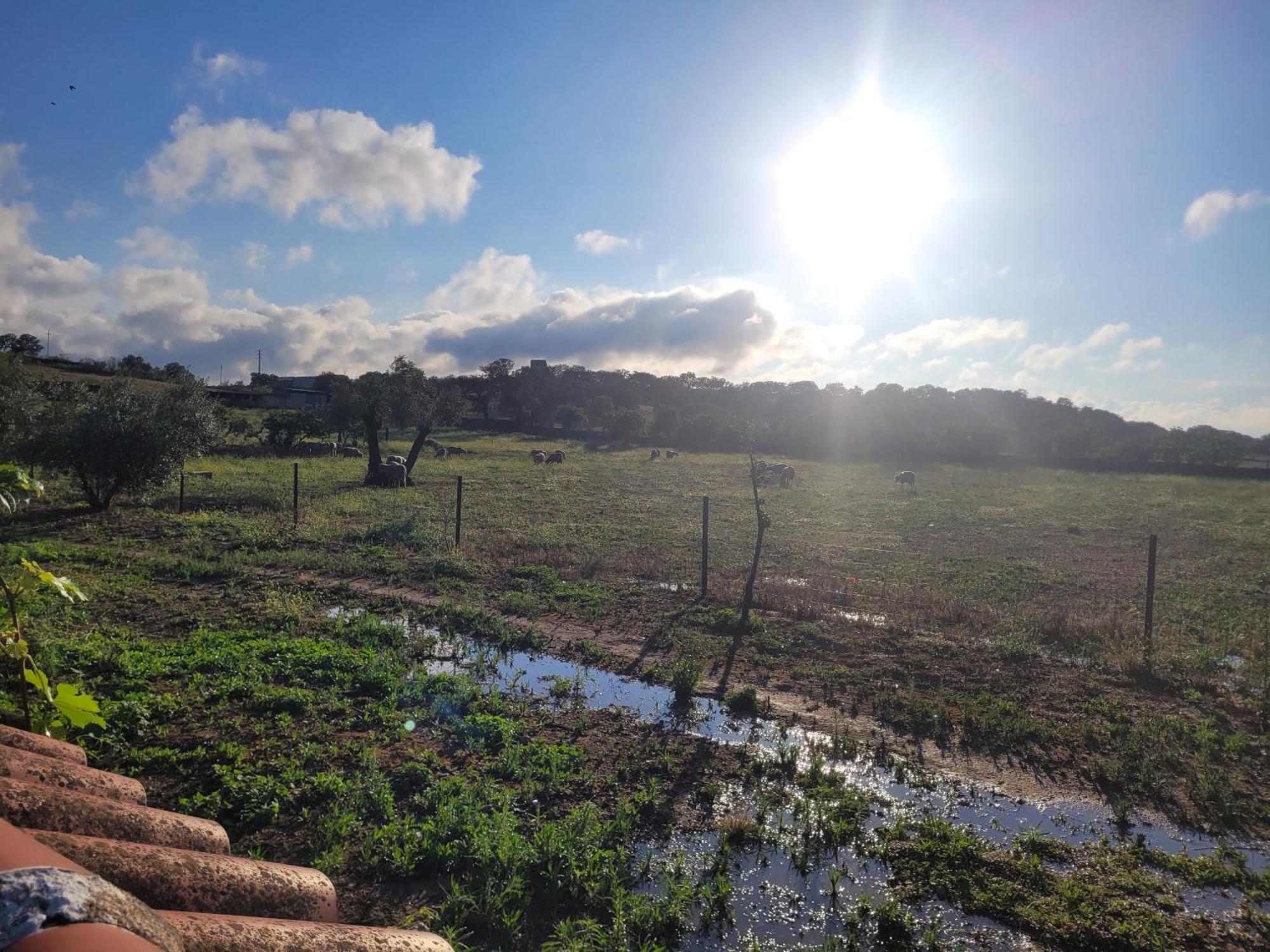 Complejo Rural El Soldado Villa Villanueva del Duque ภายนอก รูปภาพ